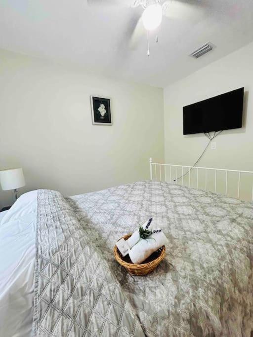 Vintage Family Scape + Heated Pool&Discount Villa Tampa Exterior photo